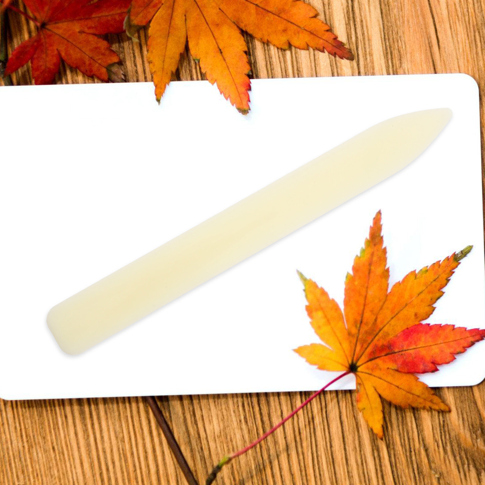 5 pcs Plastic Bone Folder Pape - Bone Folder Tool review and price
